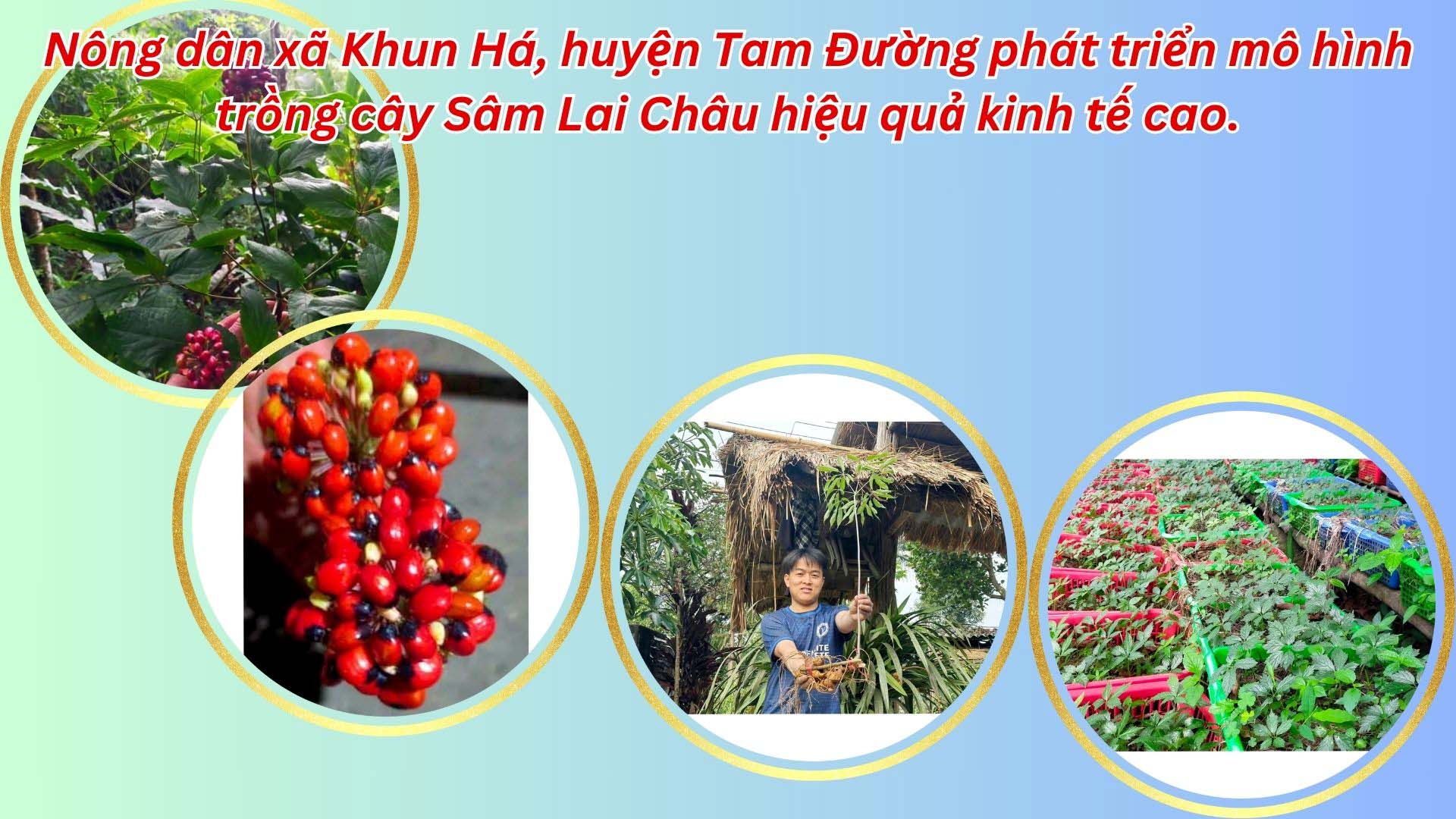 Ảnh thứ 3 trong tổng số 4 ảnh